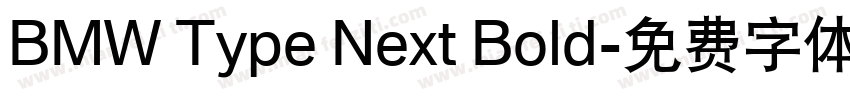 BMW Type Next Bold字体转换